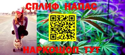 сатива Ирбит