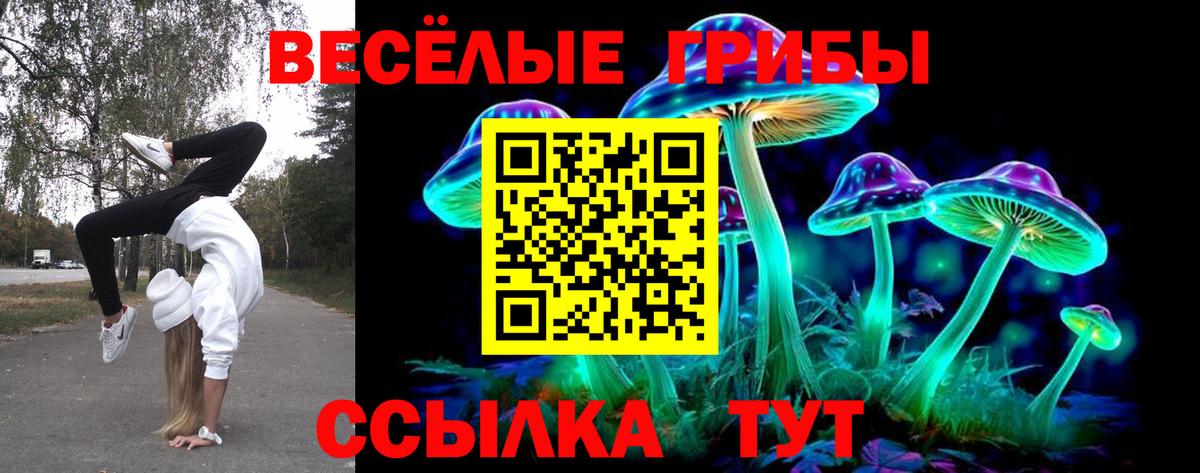Псилоцибиновые грибы MAGIC MUSHROOMS Калуга