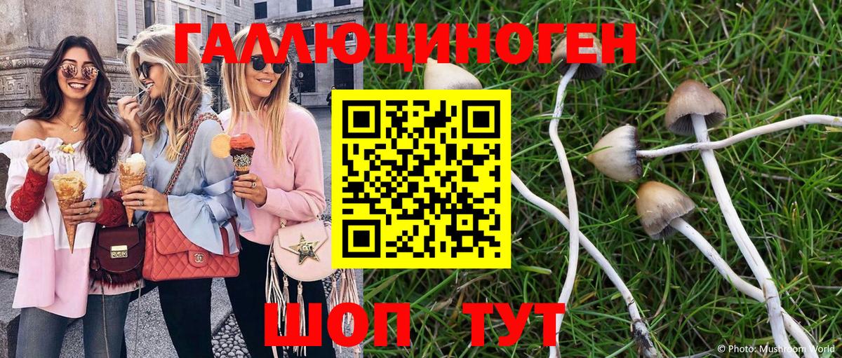 Калуга  продажа наркотиков  Галлюциногенные грибы мицелий  Вход с VPN  Псилоцибиновые грибы Magic Shrooms 